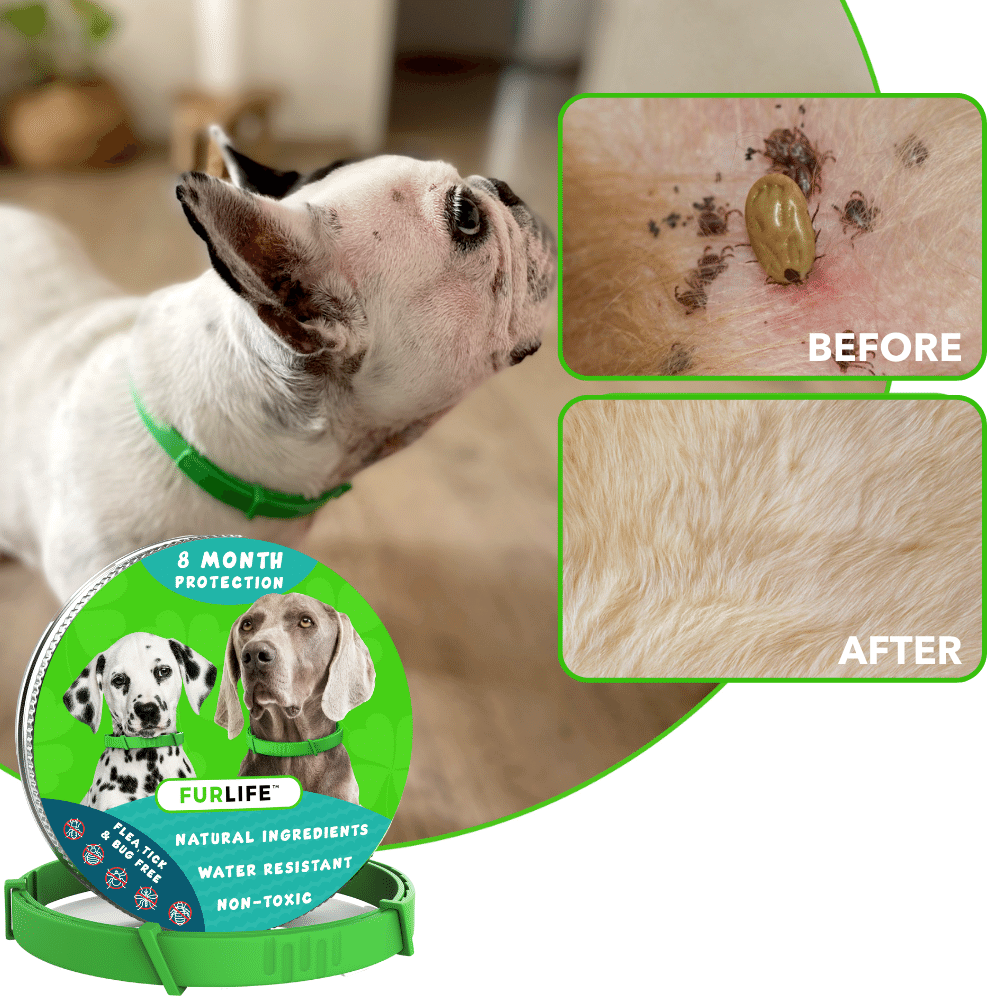 FurLife™ 8 Months Flea and Tick Free